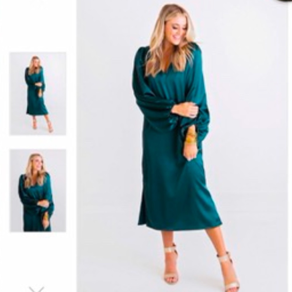 NWT Size M Karlie Dress